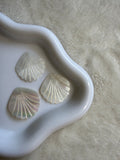 Charms coquillage chromé